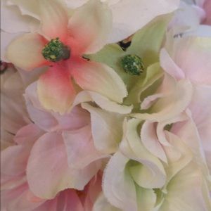 Meet your Posher, Chicgirlz